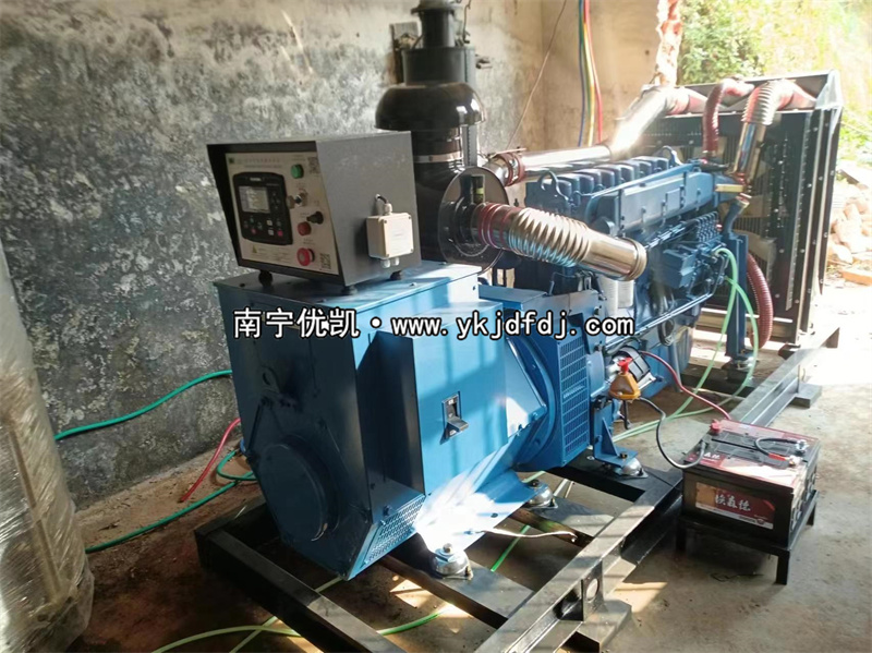 2024年3月5日，200kw濰坊雷納發(fā)電機組某學校到貨安裝