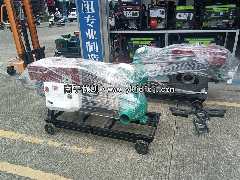 2024年7月30日，國外項目出口兩臺4寸柴油水泵機(jī)組及4臺清水泵