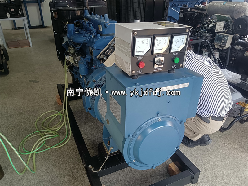2024年11月6日，客戶到店自提30kw濰坊柴油發電機組