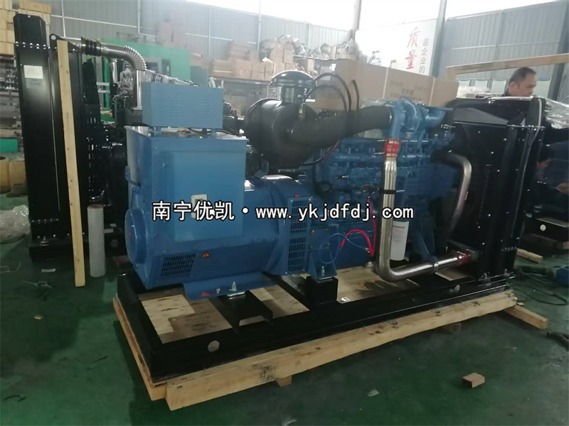 2025年2月20日，國外項目兩臺150KW玉柴柴油發(fā)電機(jī)組裝車出口